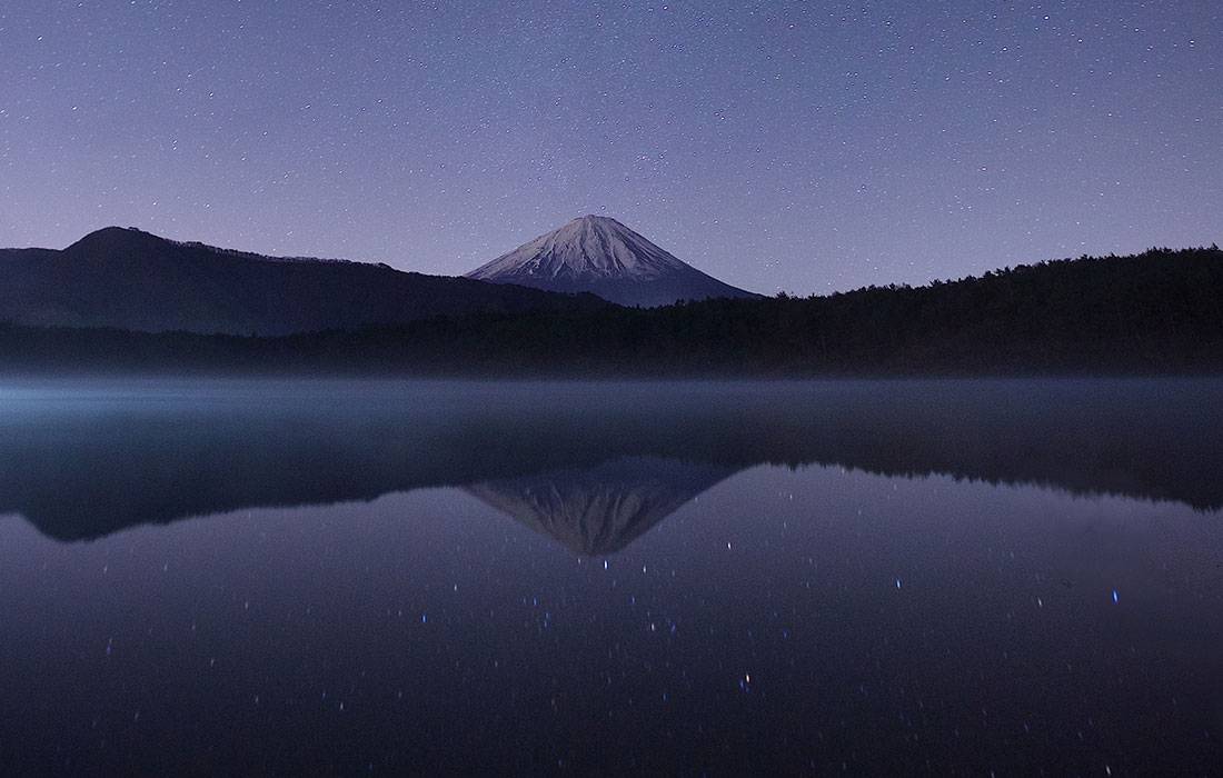 Syntek Pro future domain registration lasting success